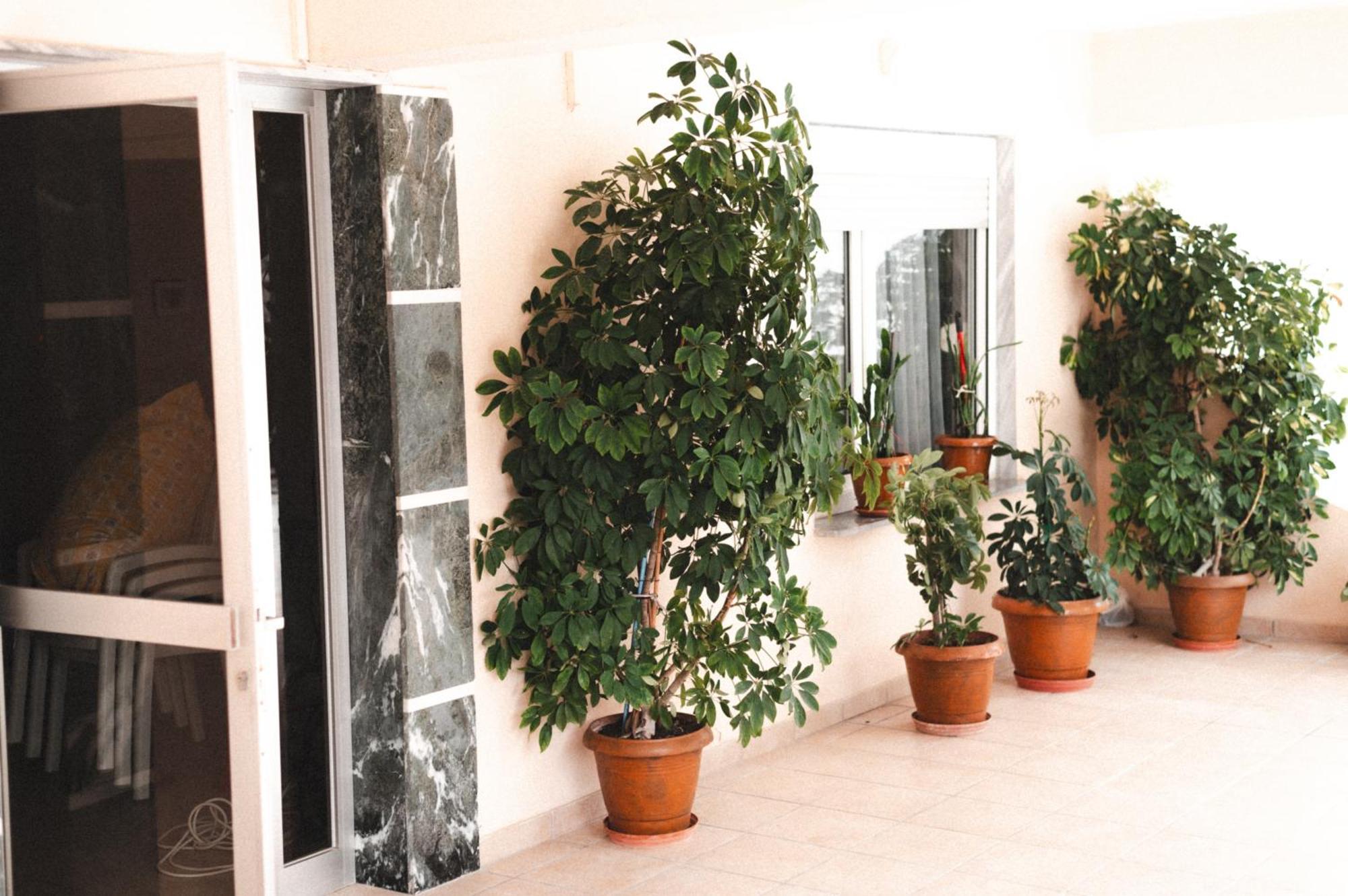Μpasias Apartments Paralia Katerinis Luaran gambar